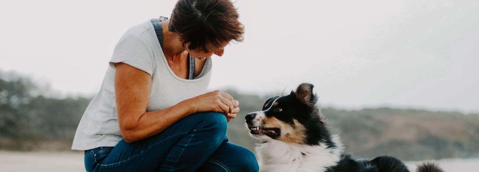 Dog trainer in Ballina