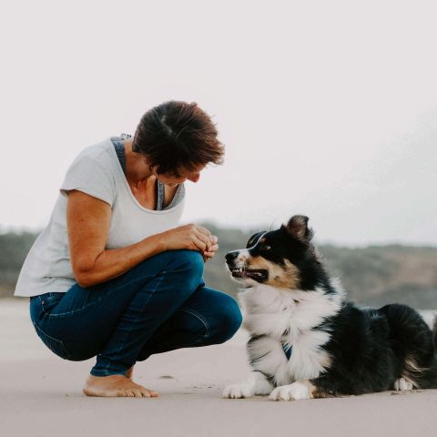 Dog trainer in Ballina