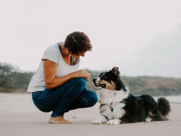 Dog trainer in Ballina